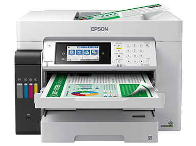 Epson 1931211 Stacker Assembly | OEM | 123 Distribution