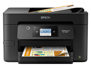 Epson 1651388 Porous Pad Front Paper Guide | OEM | 123 Distribution