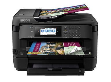 Epson FA13031 Printhead | OEM | 123 Distribution